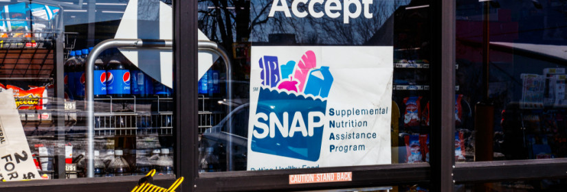 What is SNAP (Supplemental Nutrition Assistance Program)